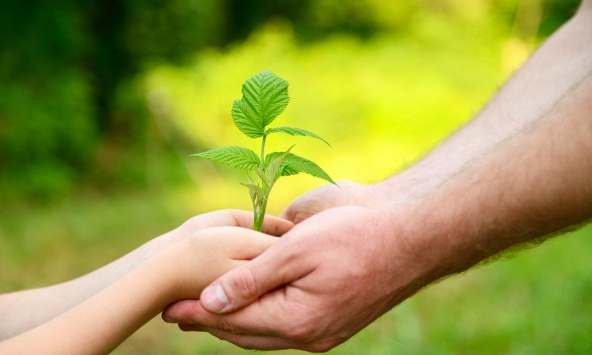 Tử vi hàng ngày 15/1/2020 của 12 con giáp: Tý sẵn sàn cho tình yêu lâu dài, Thìn đừng để bị phân tâm