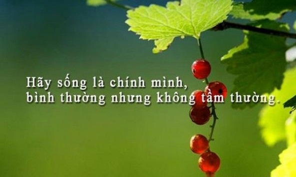 Tử vi tài lộc Chủ Nhật ngày 5.1.2020 của 12 con giáp: Tuất nên kiềm chế chi tiêu, Mùi đầu tư thua lỗ