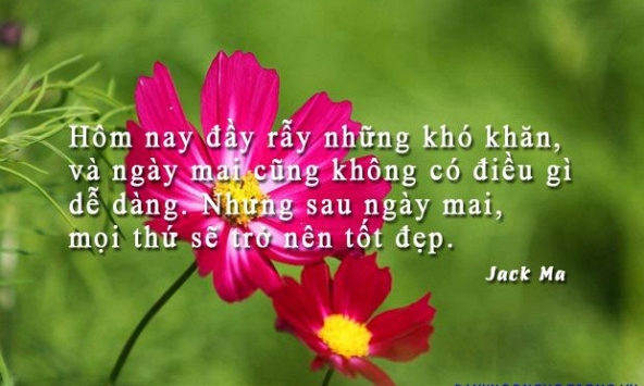 Tử vi tình duyên Chủ Nhật ngày 5.1.2020 của 12 con giáp: Mùi hãy nói chuyện tự nhiên, Ngọ ổn định cảm xúc