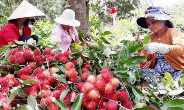 Sau dịch Corona, cần mở rộng thị trường xuất khẩu tránh phụ thuộc Trung Quốc