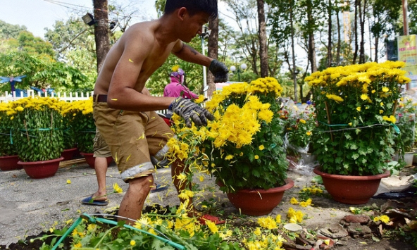 Bao giờ mới hết cảnh “đập hoa” chiều 30 Tết?