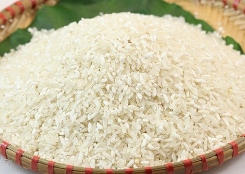 Giá gạo xuất khẩu vẫn thấp dù nhu cầu thu mua đang khởi sắc