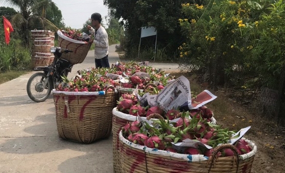 Nông sản Việt ảnh hưởng nặng khi thị trường Trung Quốc ngưng trệ