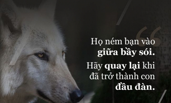 Tử vi sự nghiệp ngày 8/2/2020 của 12 cung hoàng đạo: Cự Giải bận rộn, Sư Tử xem lại thái độ làm việc