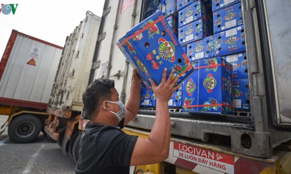 Visuc corona khiến xuất nhập khẩu hàng hóa cả nước giảm mạnh tháng đầu năm