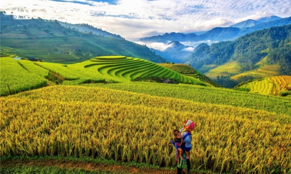 Thu về, tinh túy đất trời trao trọn cho Tây Bắc