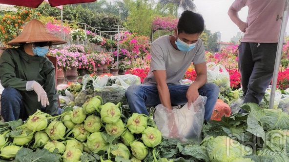 Hàng chục tấn nông sản Hải Dương được người dân thủ đô 'giải cứu' mỗi ngày