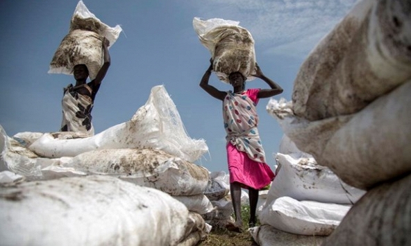 Các tổ chức quốc tế cảnh báo về khủng hoảng lương thực toàn cầu