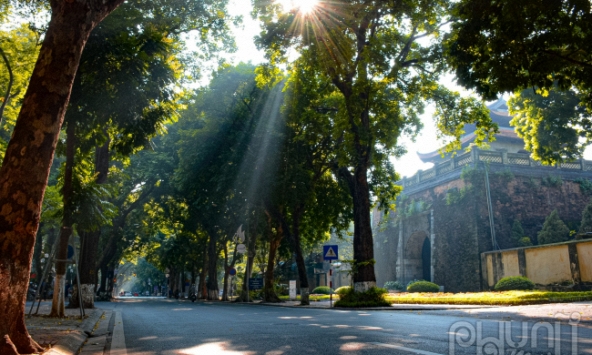 Con phố trăm tuổi của Hà Nội bừng sáng trong sắc thu 'bình thường mới'