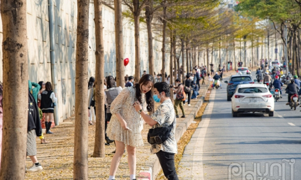 Bàng lá nhỏ 'nhuộm vàng' ven sông Tô Lịch, người dân nô nức chụp ảnh bất chấp dịch bệnh