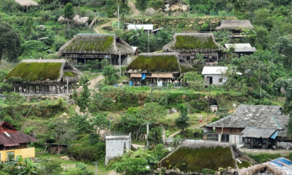 Những mái nhà cọ phủ đầy rêu của người Dao ở Xà Phìn (Vị Xuyên, Hà Giang)
