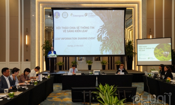 Sáng kiến Liên minh giảm phát thải thông qua tăng cường tài chính lâm nghiệp