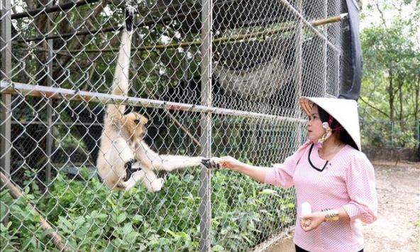 Người phụ nữ Khmer nặng lòng với các loài động vật hoang dã