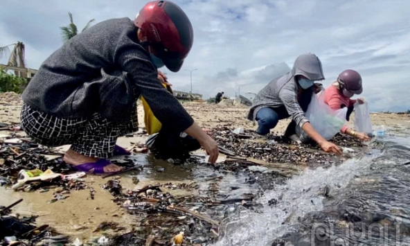 Đà Nẵng: Người dân đổ xô nhặt lộc trời sau bão Trà Mi