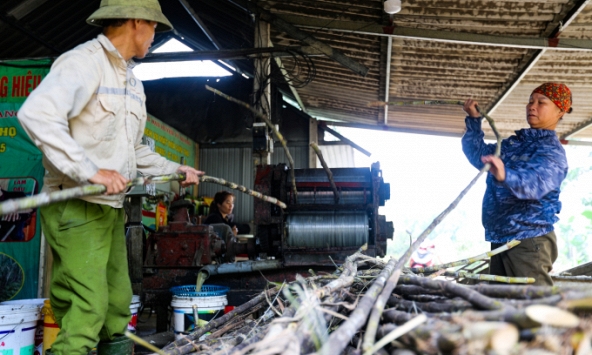 Hà Tĩnh đỏ lửa: Làng nghề mật mía tất bật chuẩn bị cho Tết