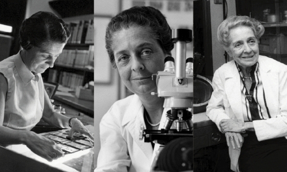 Rita Levi-Montalcini, nhà khoa học vĩ đại và khám phá đột phá về thần kinh