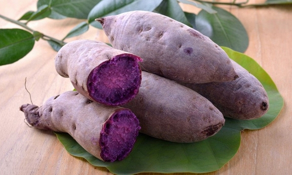 Khoai lang tím: 'Siêu thực phẩm' tiềm năng chống ung thư, nâng tầm sức khỏe