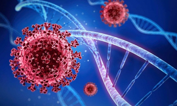 Biến thể phụ XBB.1.16 gia tăng tại Thái Lan, Việt Nam tăng cường giám sát dịch COVID-19