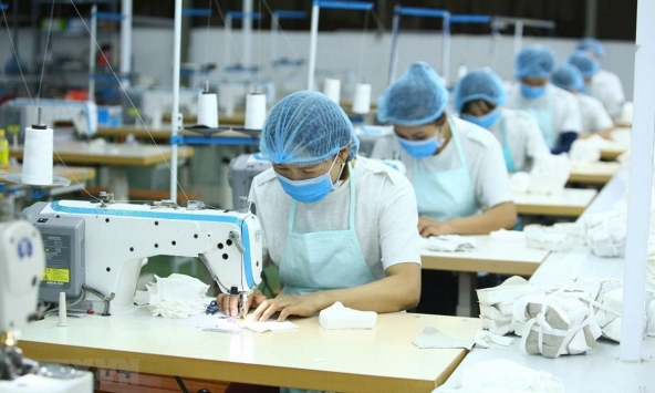 Nâng cao khả năng tiếp cận việc làm của lao động nữ trong bối cảnh chuyển đổi số 