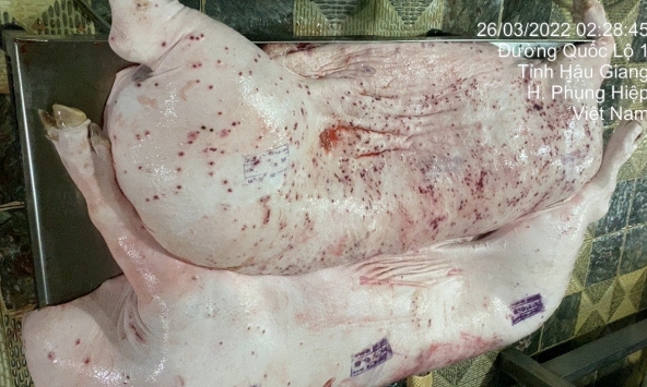 Tăng nặng hình phạt tội phạm an toàn thực phẩm: Từ 1/7, bán thịt bệnh có thể đi tù, phạt tới 400 triệu đồng