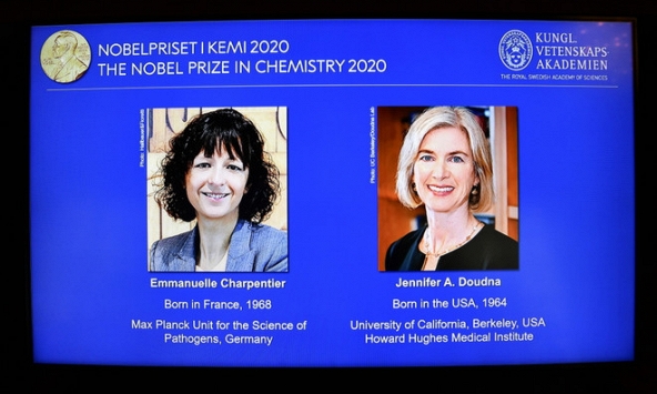 Cặp nữ khoa học gia Emmanuelle Charpentier và Jennifer Doudna 'viết lại mật mã sự sống'