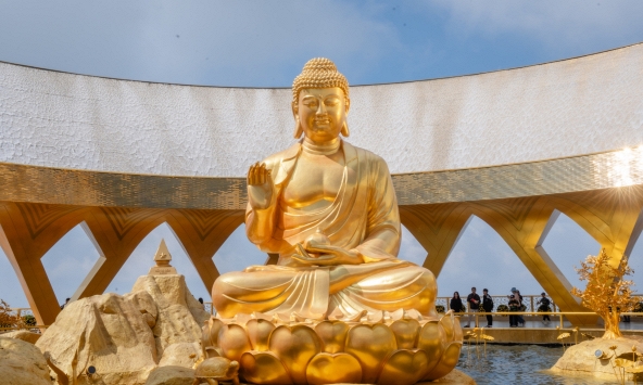 Chuyện ít biết về cây sung cổ bên tượng Phật Câu Na Hàm Mâu Ni trên núi Bà Đen