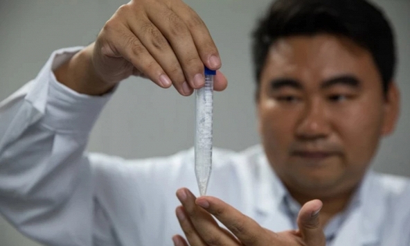 Biến CO₂ thành tinh bột: bước tiến đưa “quang hợp nhân tạo” đến gần sản xuất công nghiệp