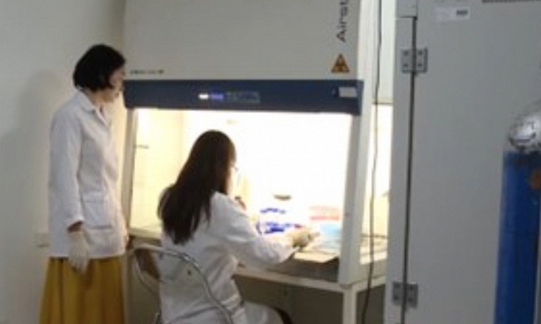 PGS.TS. Nguyễn Thị Xuân cùng nhóm nghiên cứu đột phá giải mã hệ gen tế bào gốc CD34+ trong ung thư hạch