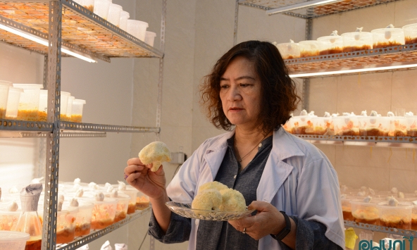 GS.TS Lê Mai Hương: Liêm chính khoa học phải bắt đầu từ lòng tự trọng của nhà nghiên cứu