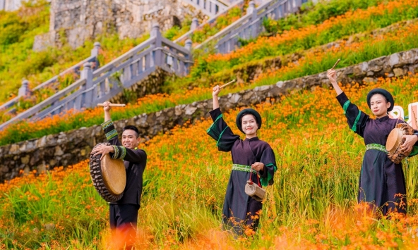 Sa Pa: Biển hoa dơn thóc khoe sắc trên đỉnh Fansipan