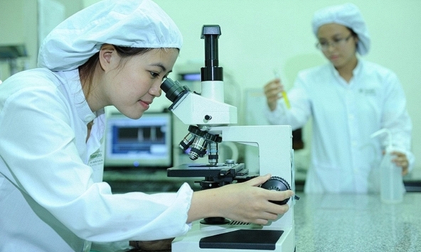 Tổng công trình sư công nghệ chiến lược có mức trần thù lao 300 triệu đồng mỗi tháng