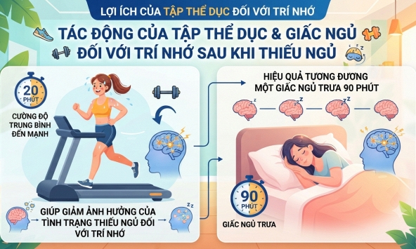 Tập thể dục 20 phút cho hiệu quả tương đương ngủ trưa 90 phút về trí nhớ