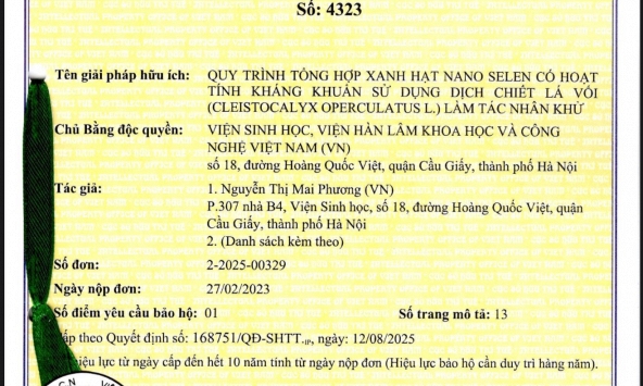 Cấp bằng độc quyền quy trình tổng hợp hạt nano selen từ lá vối