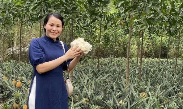 Nữ nhà nghiên cứu biến lá dứa bỏ đi thành xơ sợi dệt may