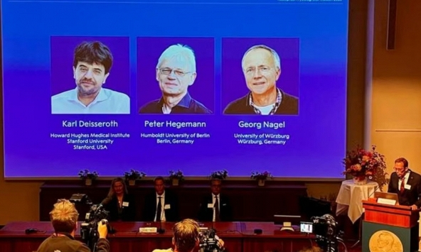 Nobel Y sinh 2026 vinh danh ba nhà khoa học với công trình về quang di truyền học