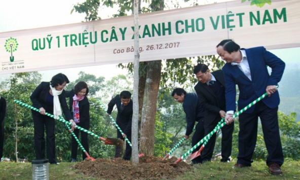 Vinamilk chung tay cùng người dân vừa trồng cây gây rừng, vừa tạo sinh kế