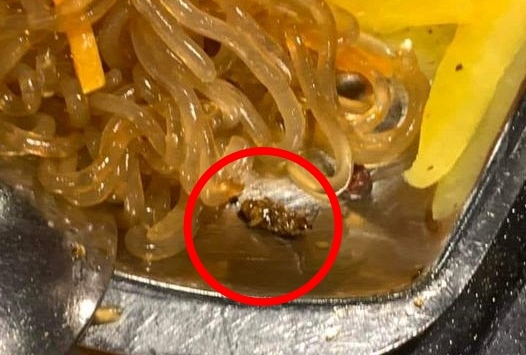 Cô gái tá hỏa phát hiện 'tiểu cường' trong bát miến trộn Hàn Quốc khi đi ăn buffet ở chuỗi nhà hàng nổi tiếng Hà Nội