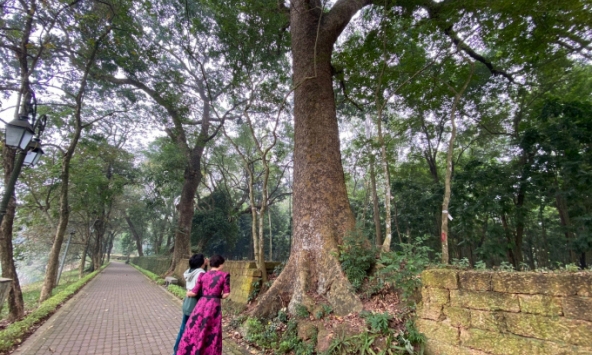 Cô gái kể lại ký ức kinh hoàng bị xâm hại từ năm 8 tuổi: Công an vào cuộc