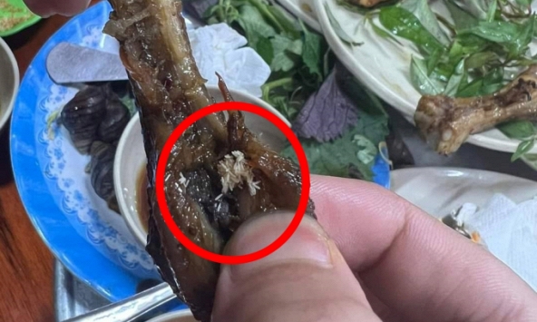 Kinh hãi 'cả gia đình' giòi bò ngoe nguẩy trong chiếc chân gà ở quán ốc