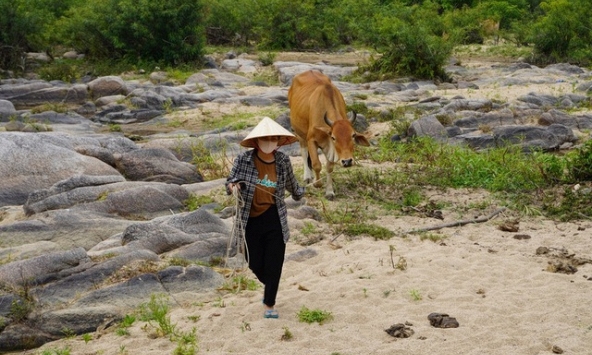 Chê con dâu ở nhà cả ngày mà không mua nổi thịt tươi, chị hàng xóm bê nguyên con bò về tặng mẹ chồng