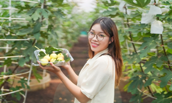 Độc đáo trải nghiệm hái trái lạ, ăn bồ câu hầm sung Mỹ lần đầu tiên xuất hiện tại TPHCM dịp nghỉ lễ Quốc khánh 2/9