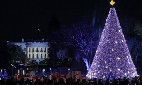 Những cây thông Noel đẹp nhất Thế giới