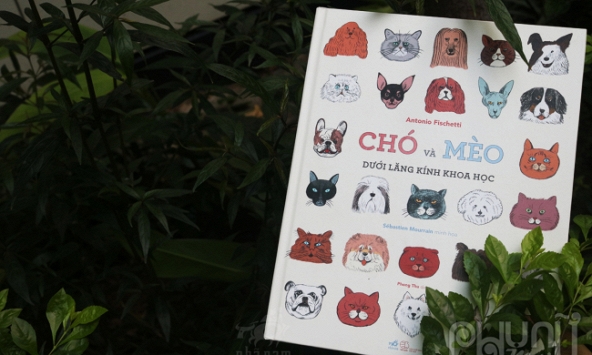 Chó và Mèo dưới lăng kính khoa học: Cẩm nang cho 'sen' khi nuôi dạy các 'boss'