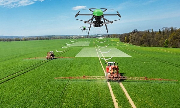 Hà Lan - Quốc gia nhỏ bé có thể nuôi cả thế giới?