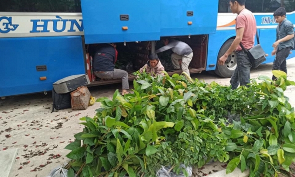 Nhóm Sách hóa nông thôn phát động dự án trồng cây, phổ biến tri thức bảo vệ môi trường