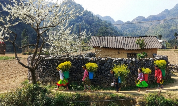 Cao nguyên đá mùa xuân