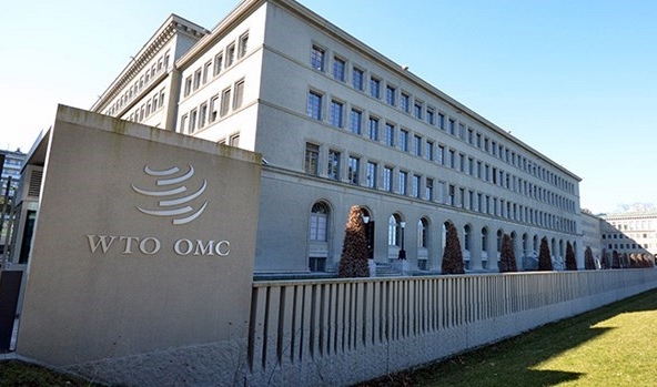 Lần đầu tiên WTO dành một nửa số ghế phó tổng giám đốc cho nữ giới