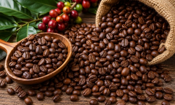 Giá nông sản ngày 25/10/2026: Cà phê giảm mạnh, đánh mất mốc 90.000 đồng/kg