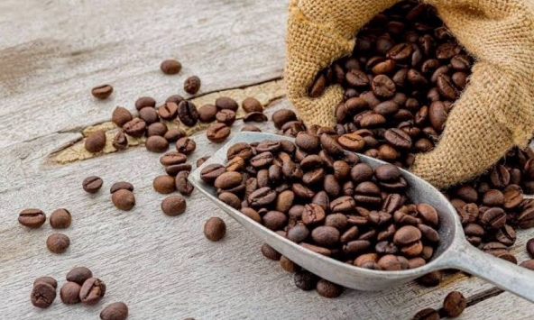 Giá nông sản ngày 29/10: Cà phê phục hồi, heo hơi tiếp tục giảm