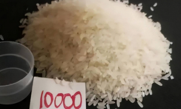 Giáo viên giao bài tập bắt nộp 10.000 hạt gạo khiến phụ huynh bức xúc: Cả nhà ngồi đếm tới đêm không xong